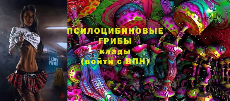 Галлюциногенные грибы Magic Shrooms  закладка  Луховицы 